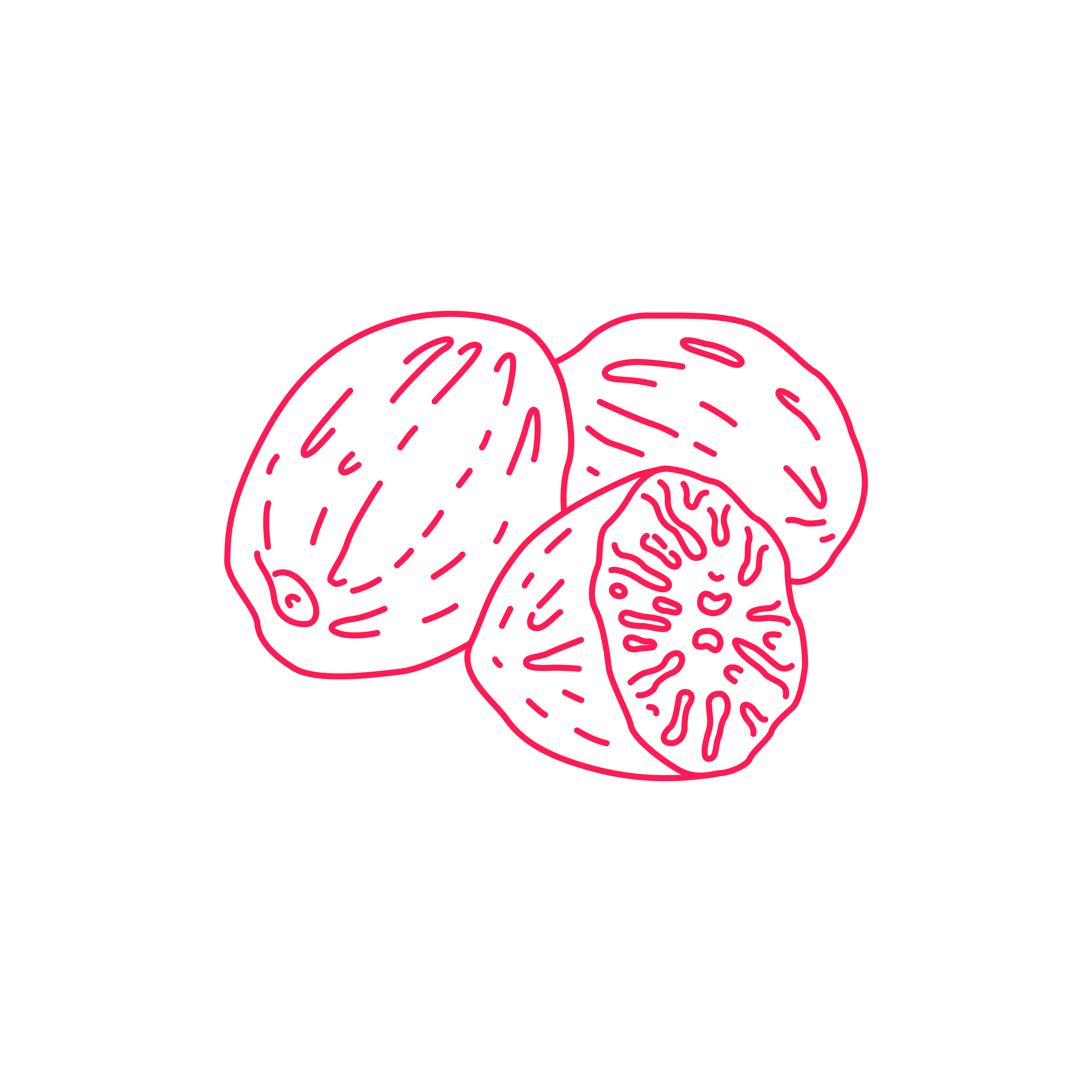 Nutmeg