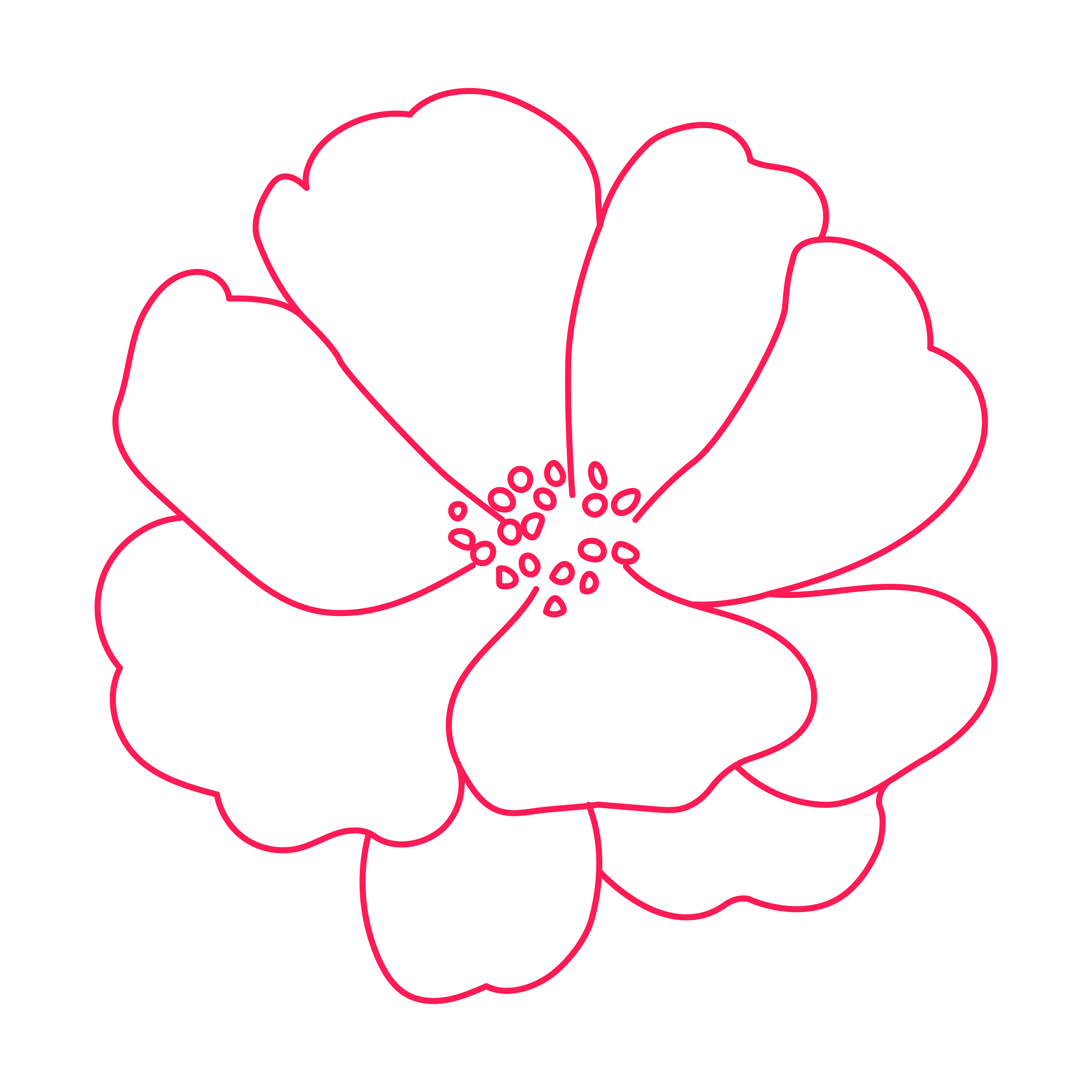 Orange Flower