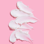 Load image into Gallery viewer, Gourmand Bundle
